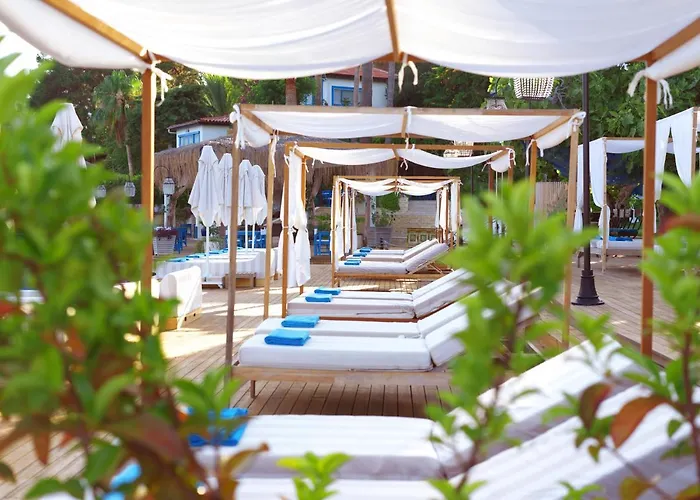 Sabrinas Haus - Adult Only +14 4*