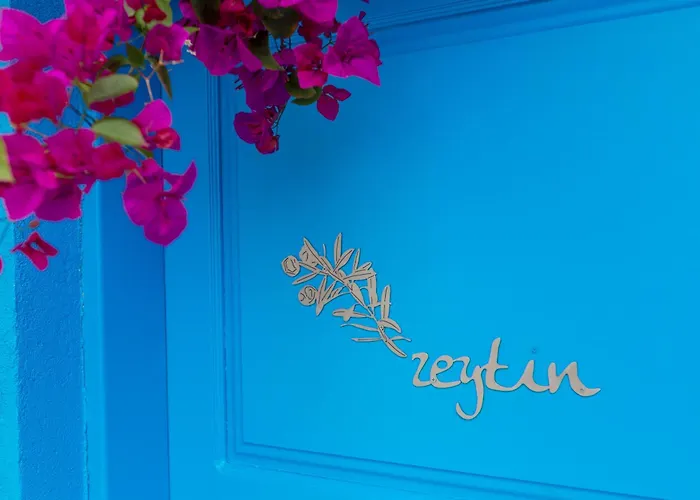 Hotel Sabrinas Haus - Adult Only +14 Marmaris