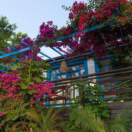 Sabrinas Haus - Adult Only +14 Marmaris