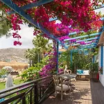 Hotel Sabrinas Haus - Adult Only +14 Marmaris