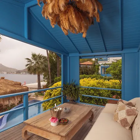 Sabrinas Haus - Adult Only +14 4*