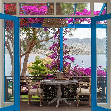 Sabrinas Haus - Adult Only +14 4* Marmaris