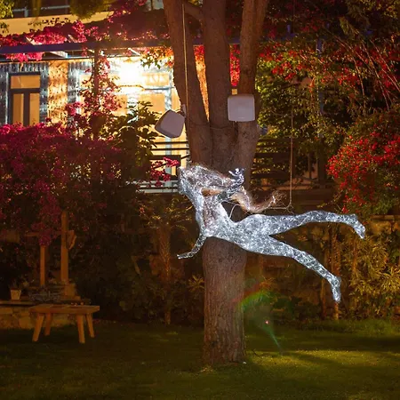 Sabrinas Haus - Adult Only +14 Hotel