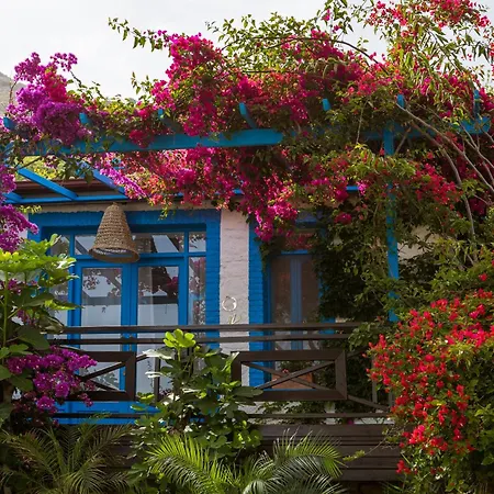 Sabrinas Haus - Adult Only +14 Hotel Marmaris