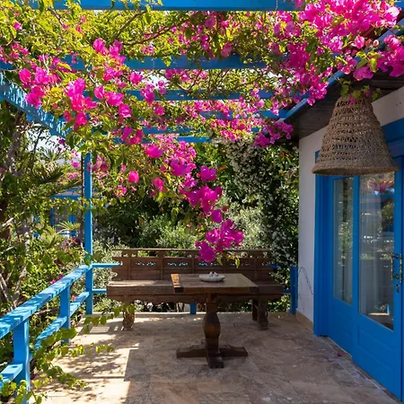 Sabrinas Haus - Adult Only +14 Hotel Marmaris