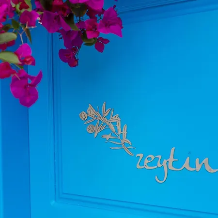 فندق سابريناس هاوس - للكبار فقط +14 مرمريس