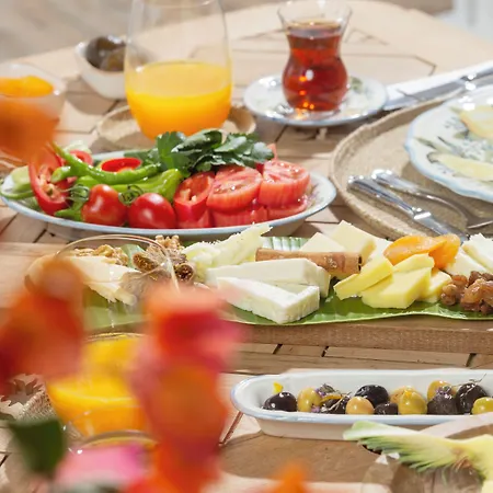 فندق سابريناس هاوس - للكبار فقط +14