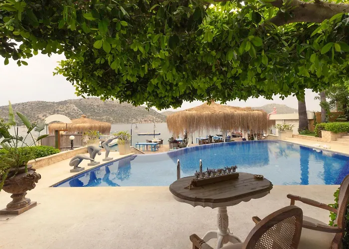 Sabrinas Haus - Adult Only +14 4*